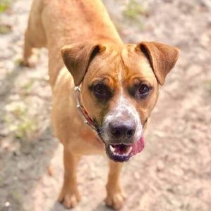 Meet your Posher, Possessed